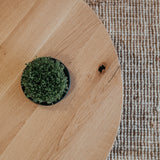 Dubový konferenční stolek Herum.